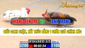 Trận 17 CPC1 21/10/2024 Anh Thắng Bến Tre Đá Xổ Anh Trạng