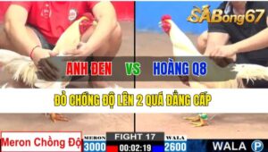 Trận 17 CPC2 18/10/2024 Anh Đen Đá Xổ Anh Hoàng Q8