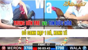 Trận 17 CPC3 03/10/2024: Anh Trung Bến Tre Đá Xổ Anh Tin Đức Hòa