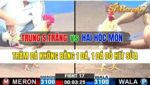 Trận 17 CPC3 12/10/2024 Anh Trung Sóc Trăng Đá Xổ Anh Hai Hóc Môn