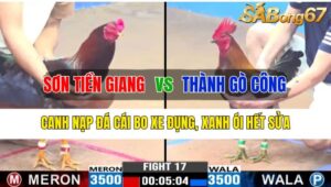 Trận 17 CPC3 17/10/2024 Anh Sơn Tiền Giang Đá Xổ Anh Thành Gò Công