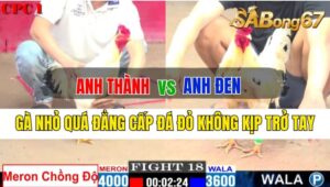 Trận 18 CPC1 05/10/2024: Anh Thành Đá Xổ Anh Tư