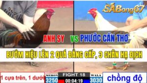 Trận 18 CPC2 04/10/2024: Anh Sy Đá Xổ Anh Phước Cần Thơ