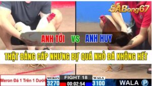 Trận 18 CPC2 11/10/2024 Anh Tới Đá Xổ Anh Huy