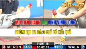 Trận 18 CPC3 01/10/2024 Anh Mo Tiền Giang Đá Xổ Anh Vinh Vĩnh Long