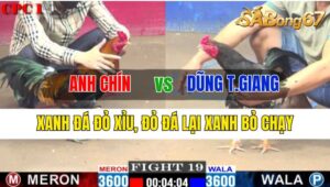 Trận 19 CPC1 12/10/2024 Anh Chín Đá Xổ Anh Dũng Tiền Giang