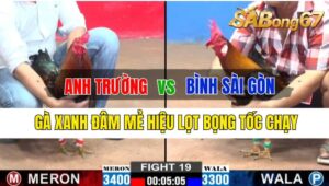 Trận 19 CPC2 04/10/2024: Anh Trường Đá Xổ Anh Bình Sài Gòn