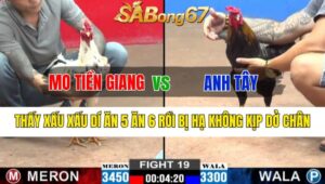 Trận 19 CPC2 23/10/2024 Anh Mo Tiền Giang Đá Xổ Anh Tây