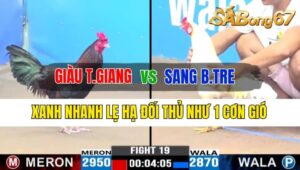 Trận 19 CPC3 08/10/2024 Anh Giàu Tiền Giang Đá Xổ Anh Sang Bến Tre