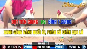 Trận 19 CPC3 12/10/2024 Anh Đạt Tiền Giang Đá Xổ Anh Bình Tiền Giang