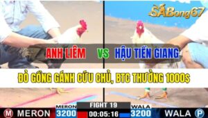 Trận 19 CPC3 13/10/2024 Anh Liêm Đá Xổ Anh Hậu Tiền Giang