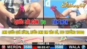 Trận 19 CPC3 22/10/2024 Anh Quốc Sài Gòn Đá Xổ Anh Tân Inox