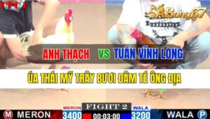 Trận 2 CPC1 08/10/2024 Anh Thạch Đá Xổ Anh Tuấn Vĩnh Long