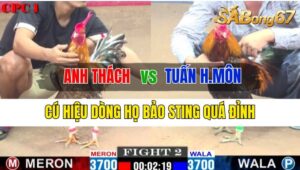 Trận 2 CPC1 12/10/2024 Anh Thách Đá Xổ Anh Tuấn Hóc Môn