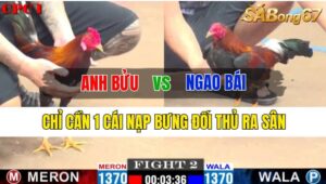 Trận 2 CPC1 14/10/2024 Anh Bửu Đá Xổ Anh Ngao Bái