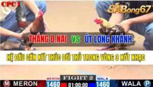 Trận 2 CPC1 21/10/2024 Anh Thắng Đồng Nai Đá Xổ Anh Út Long Khánh