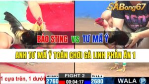 Trận 2 CPC2 04/10/2024: Anh Bảo Sting Đá Xổ Anh Tư Mã Ý