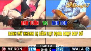 Trận 2 CPC2 16/10/2024 Anh Tuân Đá Xổ Anh Ton