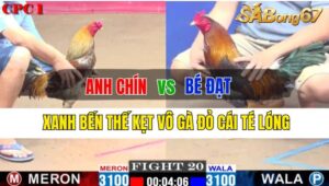 Trận 20 CPC1 03/10/2024: Anh Chín Đá Xổ Anh Bé Đạt