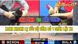 Trận 20 CPC2 06/10/2024 Anh Lành Đá Xổ Anh Bảo Sting