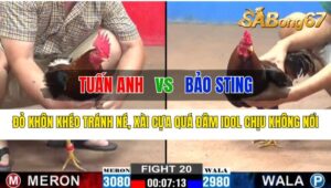 Trận 20 CPC2 16/10/2024 Anh Tuấn Anh Đá Xổ Anh Bảo Sting