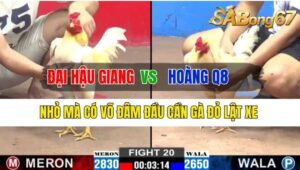 Trận 20 CPC2 18/10/2024 Anh Đại Hậu Giang Đá Xổ Anh Hoàng Q8