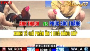 Trận 21 CPC1 03/10/2024: Anh Thạch Đá Xổ Anh Phúc Sóc Trăng