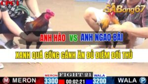 Trận 21 CPC1 07/10/2024 Anh Hào Đá Xổ Anh Ngao Bái