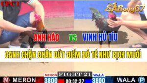 Trận 21 CPC1 10/10/2024 Anh Hào Đá Xổ Anh Vinh Hủ Tíu