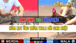 Trận 21 CPC2 04/10/2024: Anh Vinh Đá Xổ Anh Bảo Sting