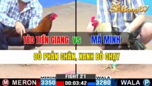 Trận 21 CPC3 02/10/2024: Anh Tèo Tiền Giang Đá Xổ Anh Má Minh