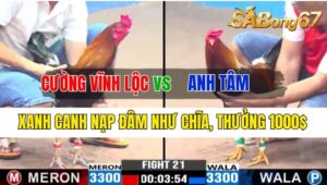 Trận 21 CPC3 07/10/2024 Anh Cường Vĩnh Lộc Đá Xổ Anh Tâm