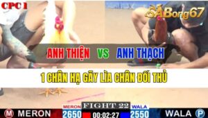 Trận 22 CPC1 07/10/2024 Anh Thiện Đá Xổ Anh Thạch