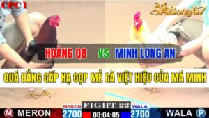 Trận 22 CPC1 14/10/2024 Anh Hoàng Q8 Đá Xổ Anh Minh Long An