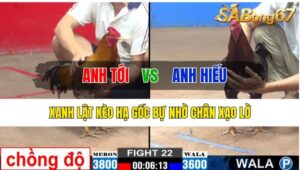 Trận 22 CPC2 27/10/2024 Anh Tới Đá Xổ Anh Hiếu