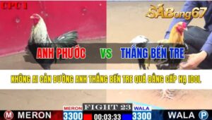 Trận 23 CPC1 26/10/2024 Anh Phước Đá Xổ Anh Thắng Bến Tre