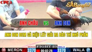 Trận 23 CPC1 31/10/2024 Anh Châu Đá Xổ Anh Đen