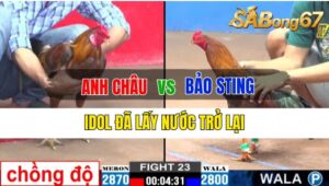 Trận 23 CPC2 04/10/2024: Anh Châu Đá Xổ Anh Bảo Sting