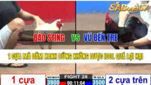 Trận 28 CPC2 27/10/2024 Anh Bảo Sting Đá Xổ Anh Vũ Bến Tre