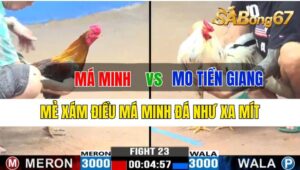 Trận 23 CPC3 01/10/2024 Má Minh Đá Xổ Anh Mo Tiền Giang