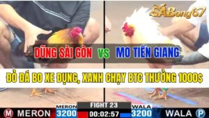 Trận 23 CPC3 12/10/2024 Anh Dũng Sài Gòn Đá Xổ Anh Mo Tiền Giang