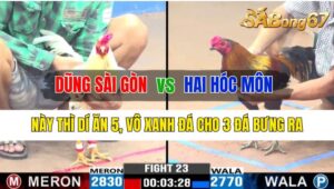 Trận 23 CPC3 15/10/2024 Anh Dũng Sài Gòn Đá Xổ Anh Hai Hóc Môn