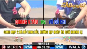 Trận 23 CPC3 21/10/2024 Anh Quang Vũng Tàu Đá Xổ Anh Vũ Củ Chi