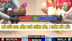 Trận 24 CPC1 08/10/2024 Anh Đen Đá Xổ Anh Cường