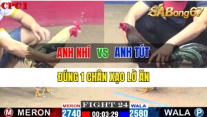 Trận 24 CPC1 12/10/2024 Anh Nhí Đá Xổ Anh Tút