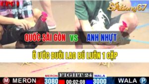 Trận 24 CPC1 14/10/2024 Anh Quốc Sài Gòn Đá Xổ Anh Nhựt