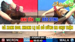 Trận 24 CPC2 04/10/2024: Anh Tân Đá Xổ Anh Bảo Sting