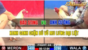 Trận 24 CPC2 13/10/2024 Anh Bảo Sting Đá Xổ Anh Cường