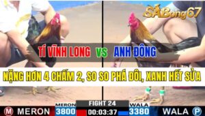 Trận 24 CPC3 09/10/2024 Anh Tí Vĩnh Long Đá Xổ Anh Đông