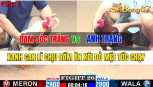 Trận 26 CPC1 10/10/2024 Anh Đảm Sóc Trăng Đá Xổ Anh Trạng